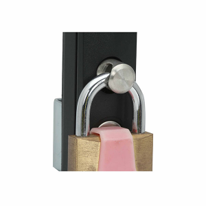 Swing Handle Lock (Padlockable)