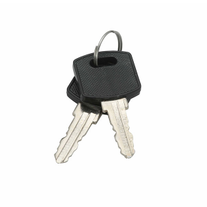 Swing Handle Lock (Padlockable)