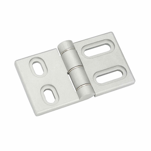 Adjustable Position Hinge