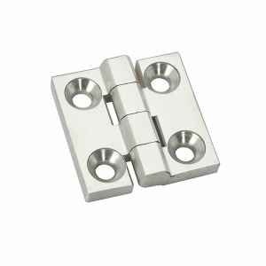 Stainless Steel Heavy Duty Hinge