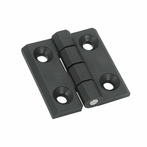 Plastic Hinge