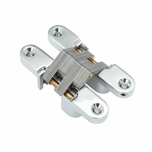 Concealed Hinge