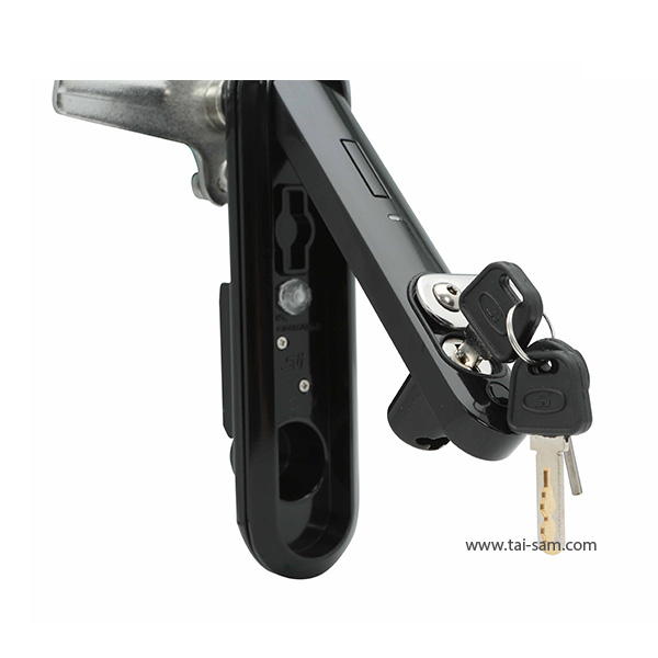 Cabinet Swing Handle Lock